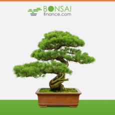 bonsaifinance